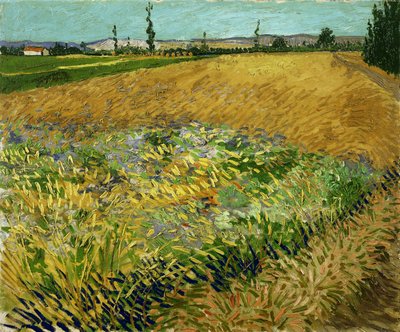 Campo di Grano da Vincent van Gogh